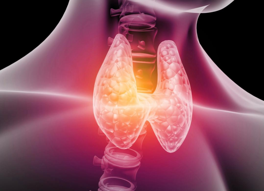 Doctor examining a patient's neck and thyroid